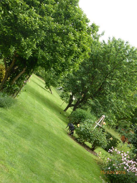 Loubieres Bedbreakfastbikespyrenees B&B 외부 사진